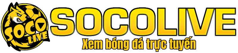 ttbd-socolive.pro