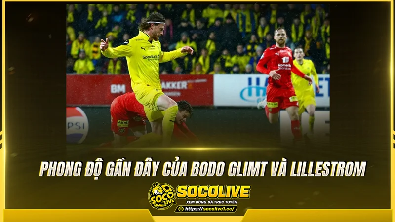 Phong độ Bodo Glimt và Lillestrom được Socolive TV tổng hợp Phong độ Bodo Glimt và Lillestrom được Socolive TV tổng hợp