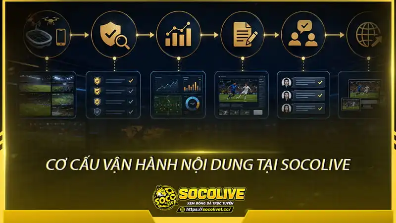 Cơ cấu vận hành nội dung tại Socolive Cơ cấu vận hành nội dung tại Socolive