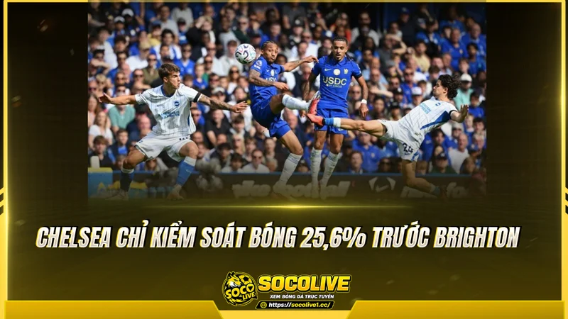 Chelsea chỉ kiểm soát bóng 25,6% trước Brighton Chelsea chỉ kiểm soát bóng 25,6% trước Brighton
