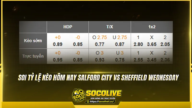 Soi tỷ lệ kèo hôm nay Salford City vs Sheffield Wednesday Soi tỷ lệ kèo hôm nay Salford City vs Sheffield Wednesday